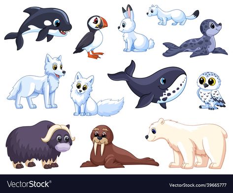 North Pole Animals, Polar Wolf, Arctic Penguins, Cartoon Mountain, Snow Animals, Wolf Animal, Bear Vector, Fox Drawing, Animals Cartoon