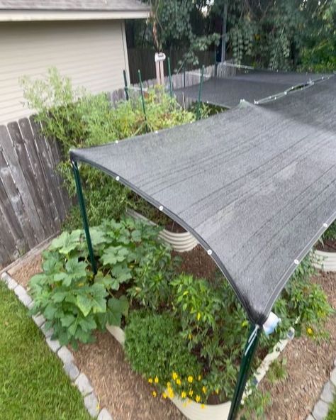 Paul on Instagram: "The garden is struggling with the incessant heat we are having here in Houston. I added one more shade cover, now four of my five @vego_garden beds are covered, leaving only the tomatoes open to full sun. They would benefit from shade, but are too tall to cover. I am dripping the garden twice a day now to help as well! How is your garden handling this heat! . . . #garden #urbangardening #organicgardening #eatwhatyougrow #veggiegarden #raisedgardenbeds #zone9agardening Garden Shade Cloth Ideas, Shade For Raised Garden Bed, Garden Shade Ideas, Garden Shade, Garden Shade Cover Diy, Garden Bed Shade Cover Diy, Garden Bed Greenhouse Cover, Garden Bed Greenhouse Cover Diy, Shade Cloth Garden