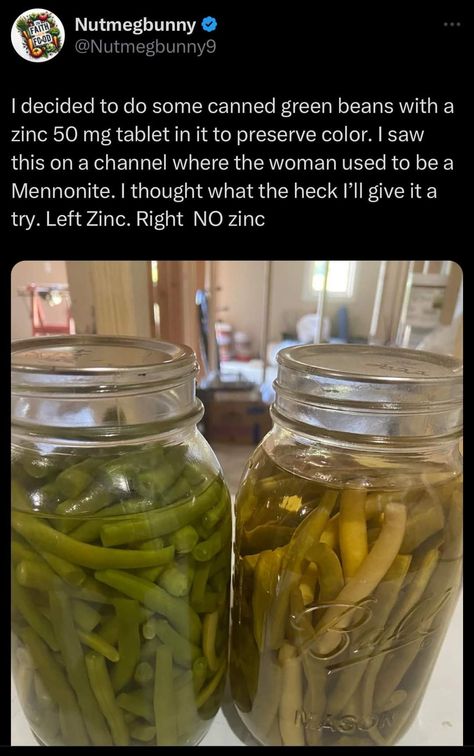 Canning Green Beans, Canned Green Beans, Canning Kitchen, Home Canning Recipes, Canned Food Storage, Canning Tips, Canning Food Preservation, Canning Food, Pressure Canning