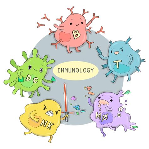 Types Of Blood Cells, Medical Laboratory Science, Healthy Immune System, Laboratory Science, Medical Laboratory, Medical Art, Alternative Health, Microbiology, Science Art