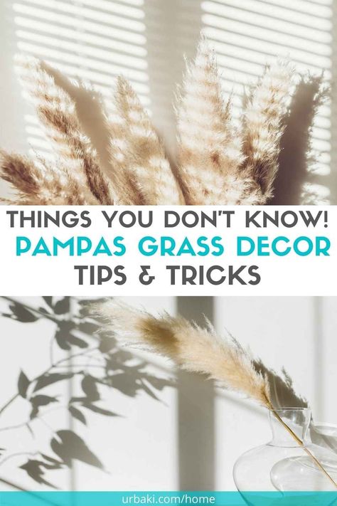 Pampas’s Grass Decor, How To Arrange Pampas In Vase, Artificial Pampas Grass Decor, How To Decorate With Pampas, How To Fluff Pampas, Decorate With Pampas, Grass Allergy, Pampas Decor, Lucky Bamboo Plants