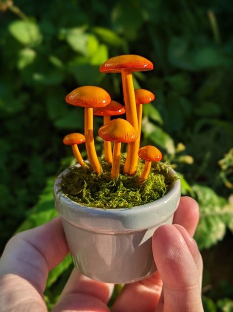 A woman's hand holding a small grey pot with moss and a cluster of golden yellow mushrooms against blurred foliage. Mushroom Inspiration, Mushroom Things, Mushroom Cluster, Small Mushroom, Clay Mushroom, Orange Mushroom, Desk Buddy, Preserved Moss, Stacked Stone