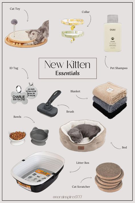 Bringing home a new kitten? Get everything ready with these must-have items. From toys to grooming kits, ensure your kitten feels right at home. Shop the list now! #KittenEssentials #PetCare #CatLovers amazon must haves, amazon finds, kitten essentials list, kitten essentials products, kitten essentials aesthetic, kitten essentials checklist, essentials for a kitten, essentials for new kitten, baby kitten essentials, cat essentials list, cat essentials aesthetic, cat essentials products Cat Essentials Products, Kitten Essentials, Kitten Checklist, Cat Checklist, Aesthetic Kitten, Essentials Checklist, Pet Essentials, Kitten Names, New Kitten