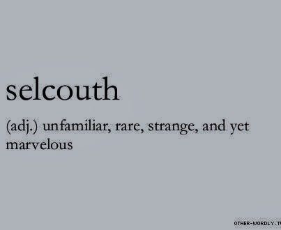 Noun Aesthetic, Pretty Words With Meaning English, Pretty Adjectives With Meaning, Deep English Words With Meaning, Words You Didnt Know Existed Feelings, Cool Adjectives Words, Aesthetic Adjectives, Poetic Words Feelings, One Word Bio