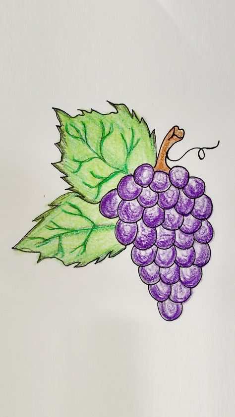 How to Draw Realistic Grapes Step by Step (Very Easy) Grapes Drawing Easy, How To Draw Grapes, Drawing Of Grapes, How To Draw Grapes Step By Step, Grapes Drawing, Grapes Drawing For Kids, Grapes Drawing Colour Pencil, Grape Bunch Drawing, Grape Drawing