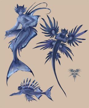 #nudibranch - DeviantArt Aquatic Oc Art, Jellyfish Oc Drawing, Jellyfish Humanoid, Aquatic Oc, Glaucus Atlanticus, Arte Sailor Moon, Mermaid Design, Mermaid Drawings, Color Study