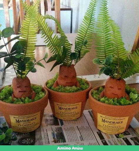 http://aminoapps.com/p/sdbm3b Diy Mandrake, Mandrake Harry Potter, Harry Potter Garden, Harry Potter Pumpkin Carving, Harry Potter Mandrake, Harry Potter Halloween Decorations, Harry Potter Camp, Harry Potter Pumpkin, Halloween Harry Potter