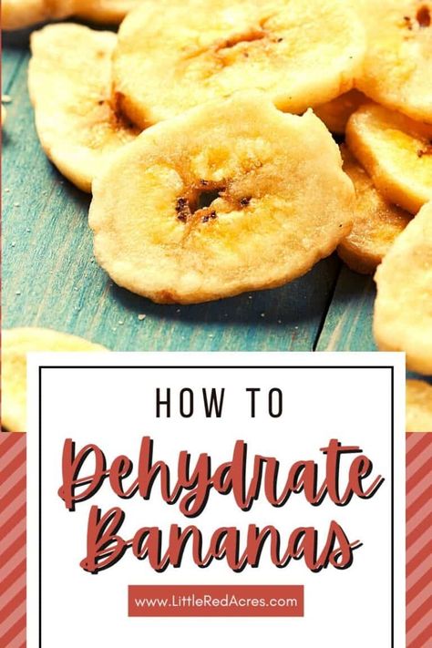 Dehydrating Bananas Dehydrated Bananas In Dehydrator, How To Dehydrate Bananas, Dehydrating Bananas, Dehydrate Bananas, Deer Jerky Recipe, Food Dehydrator Recipes, Dehydrated Bananas, Dehydrate Potatoes, Dried Banana Chips