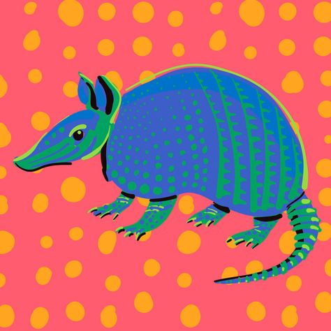 Cute Armadillo Drawing, Armadillo Painting, Armadillo Drawing, Armadillo Illustration, Armadillo Art, Texas Canvas, Illustration Lettering, Lettering Illustration, Screen Printing Art