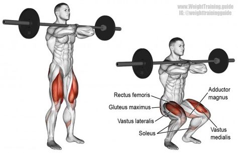 Leg Workouts For Men, Barbell Deadlift, Best Gym Workout, Body Builders, Barbell Squat, Back Squats, Front Squat, Sumo Squats, Squat Workout