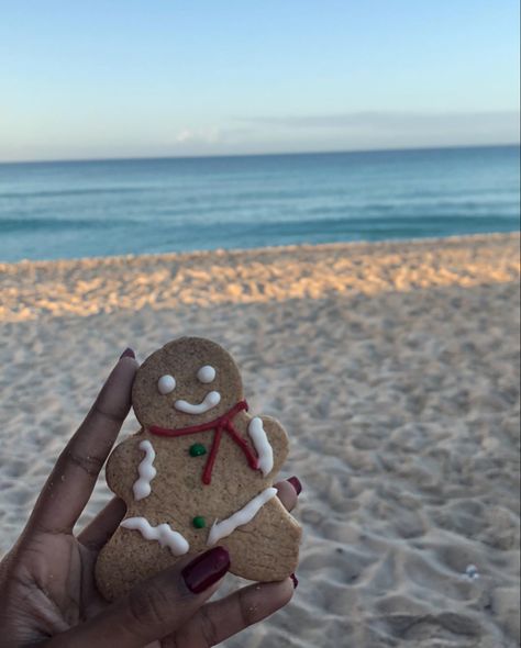 Christmas cookies | beach photos | Wallpaper Christmas On Beach, Beachy Christmas Aesthetic, Aussie Summer Christmas, Christmas In July Aesthetic, Florida Christmas Aesthetic, Aussie Christmas Wallpaper, Costal Christmas Aesthetic, Summer Christmas Wallpaper, Coastal Christmas Aesthetic