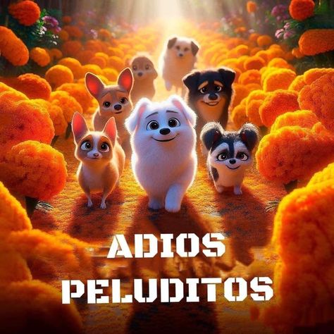 Dia De Los Muertos Decorations Ideas, Labrador Dog, Día De Muertos, Dog Quotes, Big Dogs, Dia De Muertos, Quotes Deep, Yellow Flowers, Funny Dogs