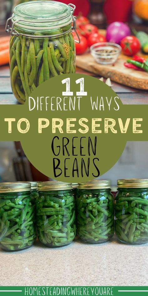 Do you have more fresh green beans from your garden than you know what to do with? You aren't alone. The last thing you want to do is give them away or - god forbid - toss them. Here are 11 different ways to preserve green beans; some of them are unique and different than things you've tried before! Harvesting Green Beans, How To Preserve Green Beans, Canning Green Beans In The Oven, Green Bean Canning Recipes, Preserve Green Beans, Dried Green Beans, Dehydrated Green Beans, Pressure Canning Green Beans, Preserving Green Beans