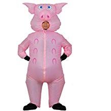 Rooster Costume, Pig Costume, Pig Costumes, Fancy Dress Halloween Costumes, Funny Cosplay, Cow Costume, Inflatable Costumes, Up Costumes, Party Kleidung