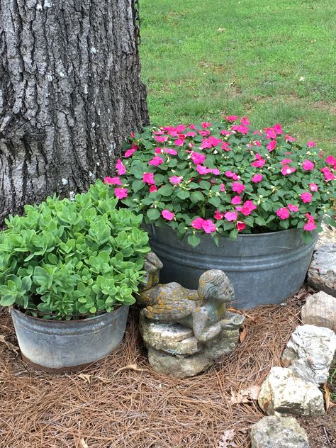 Galvanized Wash Tub Planter Ideas, Galvanized Tub Planter Ideas, Wash Tub Planter Ideas, Galvanized Tub Planter, Stock Tank Gardening, Garden Tubs, Galvanized Containers, Side Ideas, Front Flower Beds