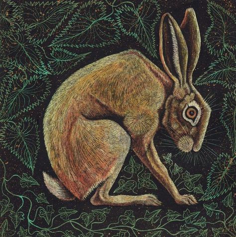 Hare Sketch, Linda Kemp, Hare Drawing, Hare Pictures, Hare Animal, Hare Illustration, Magick Art, Spring Bunnies, Rabbit Drawing