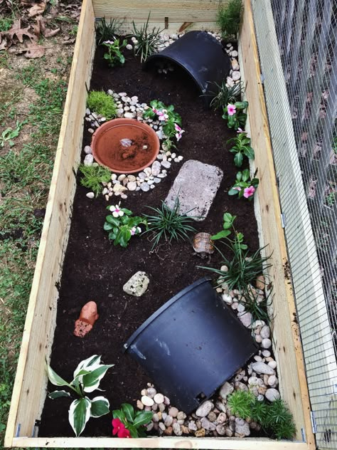 Box Turtle enclosure Box Turtle Habitat Indoor Diy, Box Turtle Habitat Outdoor, Turtle Homes Ideas, Box Turtle Enclosure, Tartaruga Habitat, Box Turtle Habitat, Turtle Cage, Outdoor Tortoise Enclosure, Diy Turtle