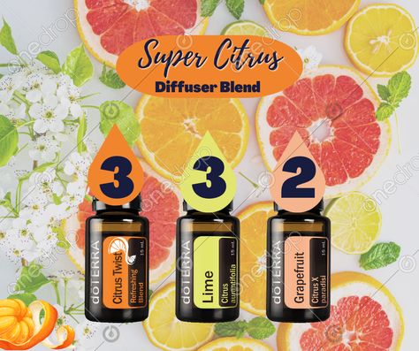 🍋✨ Get ready to supercharge your space with citrusy goodness! 🌟🍊 Mix 3 drops of Citrus Twist, 3 drops of Lime, and 2 drops of Grapefruit in your diffuser for an instant burst of freshness. 🎉🌿 Perfect for those seasonal shifts, it'll refresh your surroundings and lift your spirits in... #Super Citrus Diffuser Blend #citrus twist #grapefruit #lime #citrus #diffuser blend #wellnessadvocate #doterra #wellnessstockphotos #onedropdesigns #doterrawellnessadvocate #doterratips #doterragraphics #doterraphotos Doterra Wellness Advocate, Citrus Twist, Diffuser Blend, White Witch, Diffuser Blends, Doterra, Grapefruit, Essential Oils, Witch