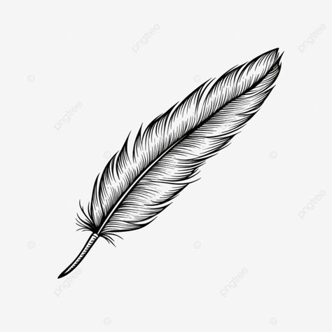 feather of journalism line drawing Feather Drawing Pencil, Feather Png, Feather Outline, Art Gcse Ideas, Ad Drawing, Wing Drawing, Feather Drawing, Feather Pen, Ig Highlights