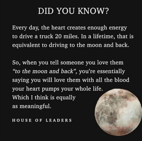 To the moon and back :] Moon And Love Quotes, Moon And Love, Moon Lovers Quotes, Moon Love Quotes, I Love The Moon, Quotes For Him Romantic, Moon And Star Quotes, Moon Facts, Meaning Quotes