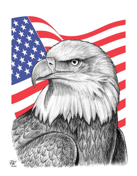 A pen and ink drawing of a bald eagle I created. Eagle Drawings Easy, Eagle Drawing Sketches, American Eagle Drawing, Bald Eagle Sketch, Patriotic Drawings, Bald Eagle Drawing, Eagle Drawing Easy, Practice Tattoos, America Drawing