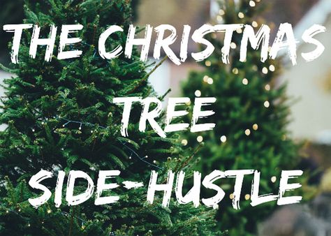 Christmas Tree Store, Extra Money On The Side, Christmas Tree Lots, Christmas Tree Sale, Farm Business, Christmas Farm, Farmhouse Christmas Tree, Christmas Tree Stand, Make Extra Money