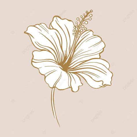 beige,vintage,hand,brown,art,illustration,design,vector,pastel,nature,tattoo,line,element,collage,sticker,doodle,drawn,minimal,graphic,hibiscus,simple,drawing,botanical,flower,floral Hibiscus Flower Sticker, Vintage Botanical Illustration, Artistic Home, Brown Vintage, Hibiscus Flower, Vintage Botanical, Illustration Vector, Botanical Illustration, Hibiscus