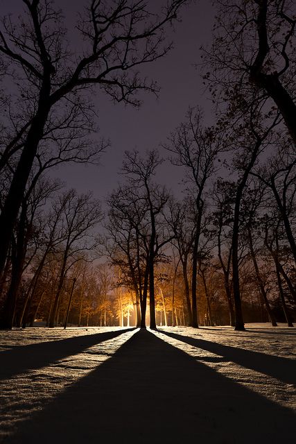 explore the light Low Angle Photography, Colourful Nature, Interesting Perspective, Angle Photography, Low Light Photography, Digital Photography School, Light Shadow, Scenic Photography, Low Angle