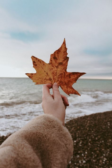 Fall On The Beach, Autumn Beach Aesthetic, Fall Beach Aesthetic, Beach Foliage, Ocean Autumn, Hamptons Weekend, Fall Core, Autumn Beach, Fall Feeling