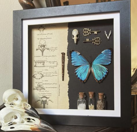 Living Room Witchy, Bedroom Witchy, Apartment Dark, Deer Skull Art, Oddities Decor, Entomology Art, Taxidermy Decor, Halloween Shadow Box, Witchy Home