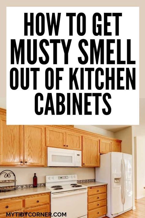 Musty Smell In House, How To Make Kitchen Cabinets, Mold Smell, Inside Kitchen Cabinets, Under Kitchen Sink, Wooden Kitchen Cabinets, Old Kitchen Cabinets, Wooden Cupboard, Inside Cabinets