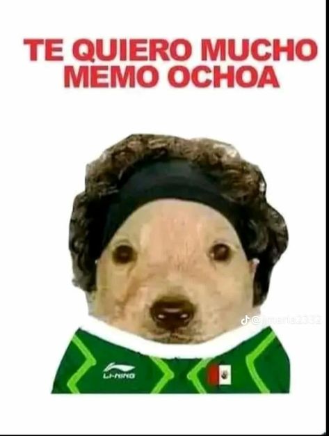 Memo Ochoa Funny, Memo Ochoa Pfp, Ochoa Y Messi, Memo Ochoa, Mexico Team, Soccer Images, Soccer Men, Mexico National Team, Strawberry Moons