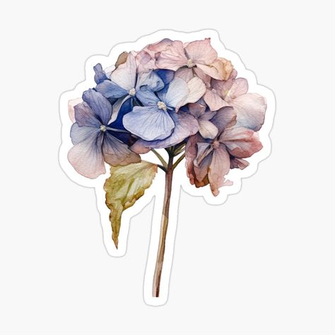 Get my art printed on awesome products. Support me at Redbubble #RBandME: https://www.redbubble.com/i/sticker/Blue-Dried-Flower-Hydrangea-Autumn-Flower-by-My-Magic-World/149706077.JCQM3?asc=u Coral Peony, Flower Hydrangea, Coral Peonies, Watercolor Stickers, Scrapbook Stickers Printable, Flower Watercolor, Decorate Notebook, Floral Stickers, Digital Journal