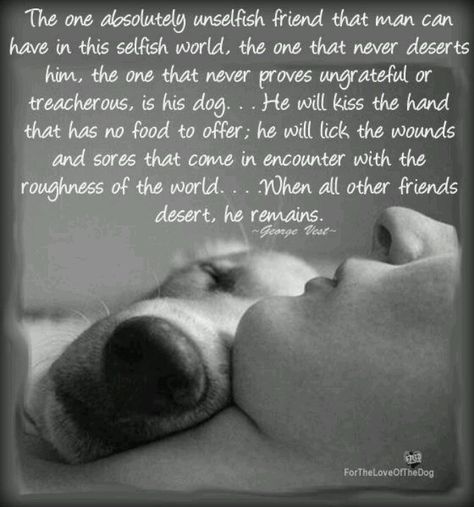 Miss my dog.....better said:  I miss my BEST FRIEND.  Rosie your love was pure. Your  smile made me smile.  you brought he happiness when the darkness of my life had consumed me with grief. Nothing will ever shine as bright as you and your loving soul in my life.  Not a day goes by where I don't pray to God that you KNOW how badly you are missed.  I know you can't come back, but I will see you again in Heaven my beautiful girl. Danny Dog, Fu Dog, Dog Rules, Nalu, Animal Quotes, Mariah Carey, Dog Quotes, Yorkshire Terrier, Animals Friends