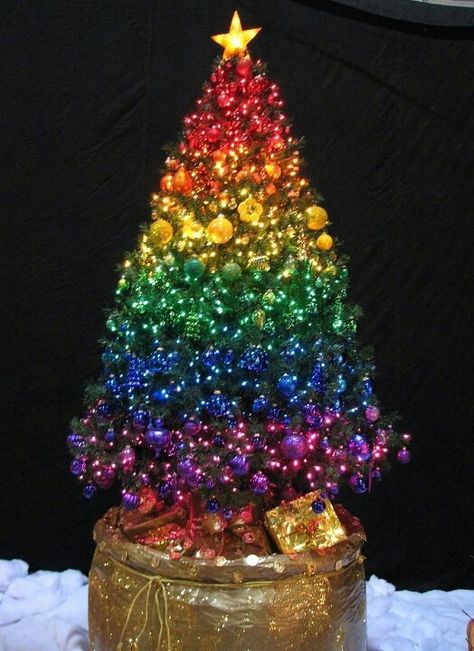 Color!! Artist Christmas, Rainbow Christmas Tree, Rainbow Christmas, Color Coordination, Holiday Trees, Rainbow Tree, Rainbows Christmas, Light Night, Color Rainbow