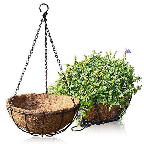 PRICES MAY VARY. QUANTITY & DIMENSION : 2 Coconut Hanging Basket for the price! 8" Diameter X 4" Depth for Each Piece. MATERIAL : Strong steel rod and chain with powder coated for rustproof and safe to use outdoor. Hanging plant pot made of pure natural coco Coir Liner, they has excellent drainage and aeration to promote plant growth. EASY USING - The metal hanging planter basket is very convenient to assemble. Just put the coconut liner into the metal hanging basket to hold a living flower, orc Flower Pot Hanger, Metal Hanging Planters, Balcony Flowers, Hanging Flower Baskets, Hanging Flower Pots, Support Plante, Pot Hanger, Basket Planters, Plant Basket