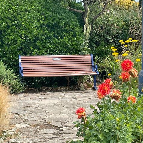 Park Bench Aesthetic, Aesthetic Bench, Potential Wallpaper, Flower Patch, Pretty Places, Fairy Core, Park Bench, Wallpaper Ideas, Pretty Flowers