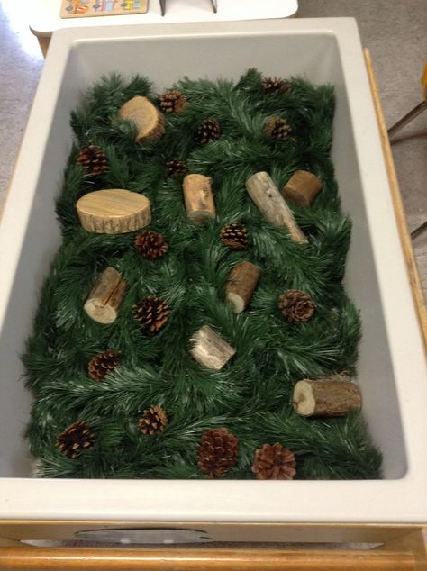 Christmas sensory table! Garland, pine cones, and pieces of wood. Nature Sensory Table, Christmas Sensory Table Preschool, Montisory Activity Preschool, Christmas Sensory Play For Babies, Christmas Flisat Table, Christmas Sensory Tray, Christmas Sensory Table Ideas, Christmas Sensory Bin Toddlers, Holiday Sensory Bin