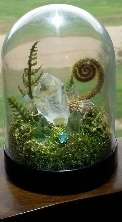 Fairy Terrarium Ideas Miniatures, Terrarium Decorations Miniatures, Crystals In Terrarium, Moss And Crystals, Terrarium Display Ideas, Witchy Terrarium, Crystal Terrarium Ideas, Fairy Terrarium Ideas, Small Terrarium Ideas