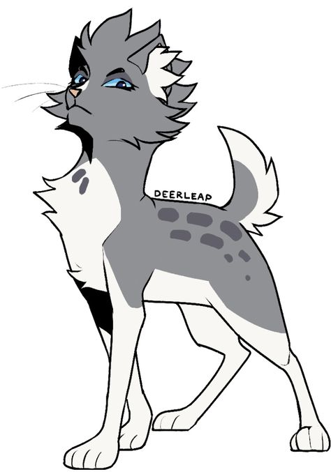 By warriorsproject on Tumblr #warriorcats #warriorcatsart Nifty Senpai, Warrior Cat Designs, Cat Warriors, Warrior Character, Interesting Animal, Warrior Cats Comics, Cats Books, Warrior Cats Series, Chinese Drawings