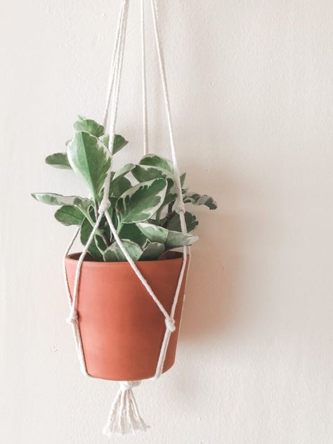 Five Minute DIY Macrame Plant Hanger - xoxojackie | inspiration for creative living Diy Plant Hanger Easy, Diy Yarn Decor, Hanging Plants Diy, Boho Ideas, Macrame Plant Hanger Patterns, Simple Macrame, Craft Things, Diy Macrame Plant Hanger, Diy Plant Hanger