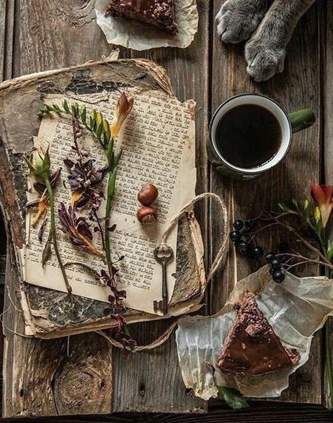 Herbalist Shop, Green Academia, Eclectic Witch, Everything Is Connected, Pagan Witch, Cottage In The Woods, Witch Aesthetic, Green Witch, Coffee Break