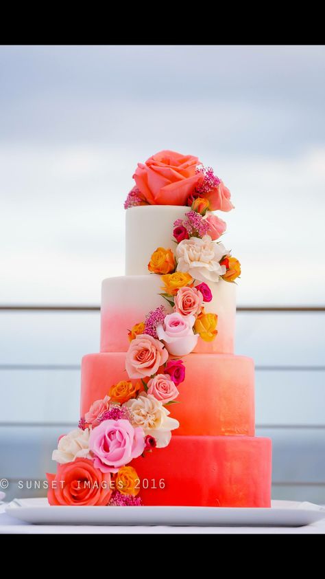 Sunset Wedding Theme, Beach Wedding Colors Schemes, Peach Wedding Theme, Coral Wedding Cakes, Orange And Pink Wedding, Destin Wedding, Silver Wedding Decorations, Sunset Beach Weddings, Pensacola Wedding