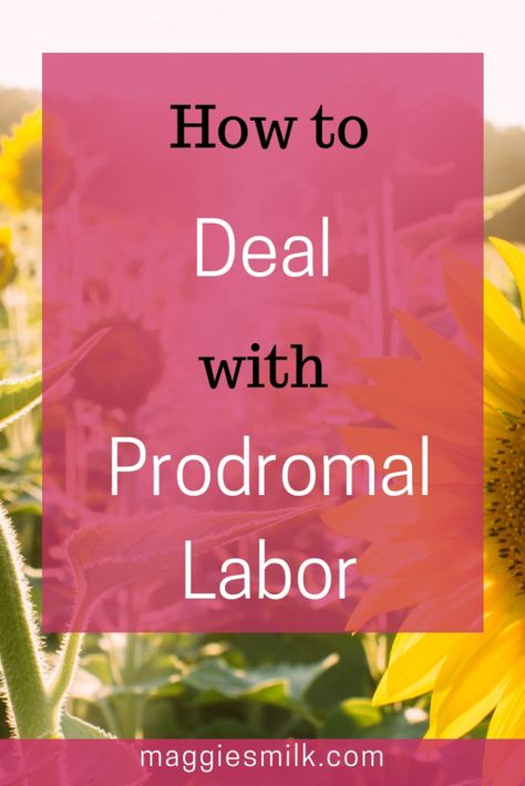 7 Tips for Dealing with Prodromal Labor Prodromal Labor, Labor Tips, Hard Boy, Parents Quotes Funny, Parenting Videos, Parenting Inspiration, Trimesters Of Pregnancy, Funny Boy, First Trimester