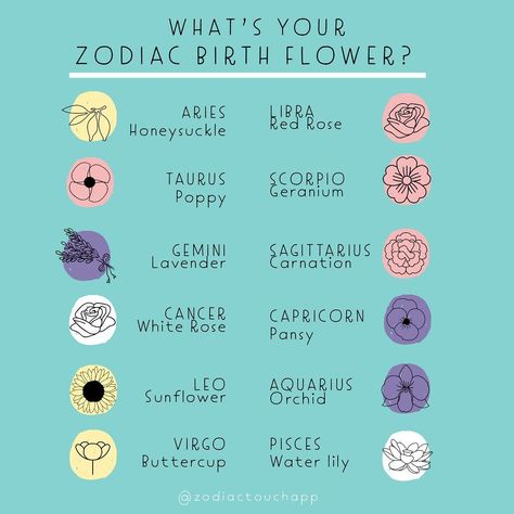 Aquarius Flower Birth Month, April 27 Zodiac Sign, April Sign Zodiac, Taurus Zodiac Flower, Flowers For Zodiac Signs, Taurus Flower Birth Month, Zodiac Signs Flowers, Zodiac Sign Flowers, Taurus Flower