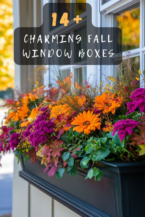 Fall in love with your home’s exterior this season! Click to explore 14 charming window box ideas that capture the essence of fall. 🍁🏡 #FallDecor #WindowBoxes #HomeExterior #AutumnVibes #DecorInspiration Window Boxes For Fall, Fall Planter Boxes, Autumn Window Boxes, Fall Window Boxes Ideas, Fall Flower Boxes, Awkward Living Room Layout, Window Box Ideas, Tropical Windows, Winter Window Boxes