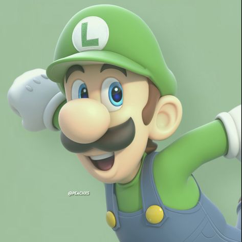 Luigi Aesthetic, Luigi Pfp, Pfp Icon Aesthetic, Mario Stuff, Duos Icons, Mario Luigi, Different Aesthetics, Pfp Ideas, Mario And Luigi