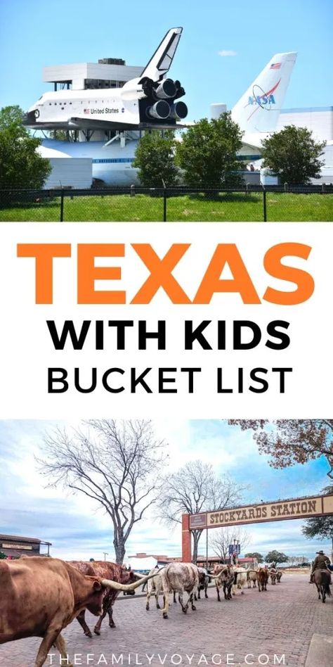 Things To Do In Texas With Kids, Texas Things To Do, Things To Do In Dallas Texas With Kids, Texas Family Vacation Ideas, Austin Texas With Kids, Texas Vacation Ideas, Vacations In Texas, Dallas With Kids, Dallas Activities