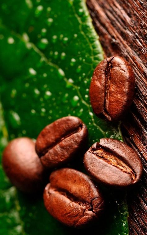 Why You Should Avoid Hazelnut Coffee Beans Retro Cafe, Perfect Cup Of Coffee, Coffee Grinds, Coffee Pictures, Gourmet Coffee, Coffee Photography, Arabica Coffee, Organic Coffee, Buy Coffee