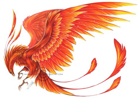 PHOENIX - a golden-red bird that consisted of ony 1 animal, as only 1 could live at a time, that would burst into flames & form a new pheonix from the ashes. Description from pinterest.com. I searched for this on bing.com/images Phoenix Symbolism, Fantasy Beings, Phoenix Drawing, Phoenix Images, Vogel Tattoo, Phoenix Feather, Phoenix Tattoo Design, Mythical Birds, Phoenix Design